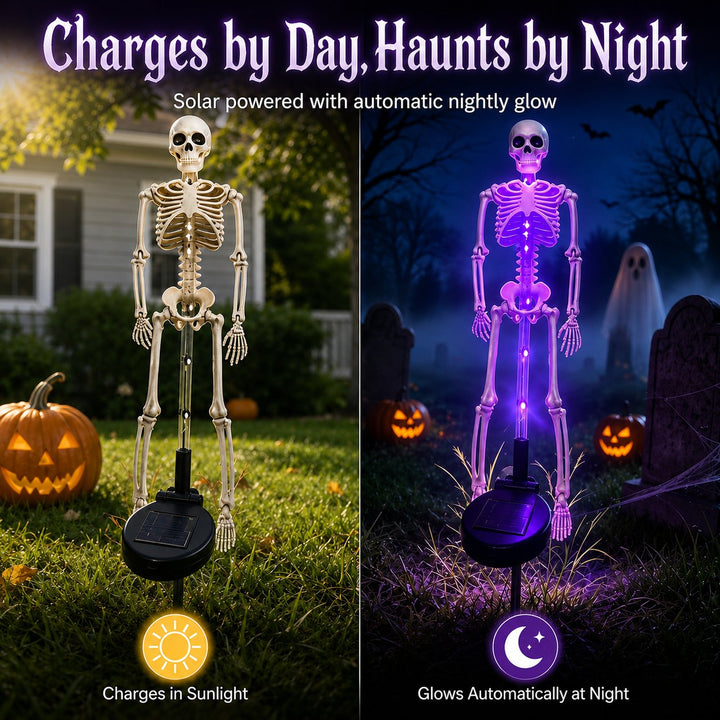 ⏰limited-time 50% OFF💀 Solar Skeleton Yard Stake